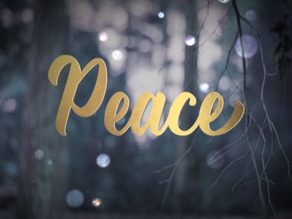 PEACE Daily Devotional: Advent 2 – Dec 12