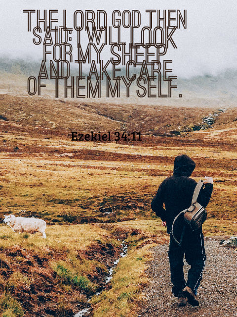 Meditations on leadership through shepherding model: Ezekiel 34