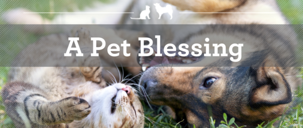 PET BLESSING: Sun, Oct 8