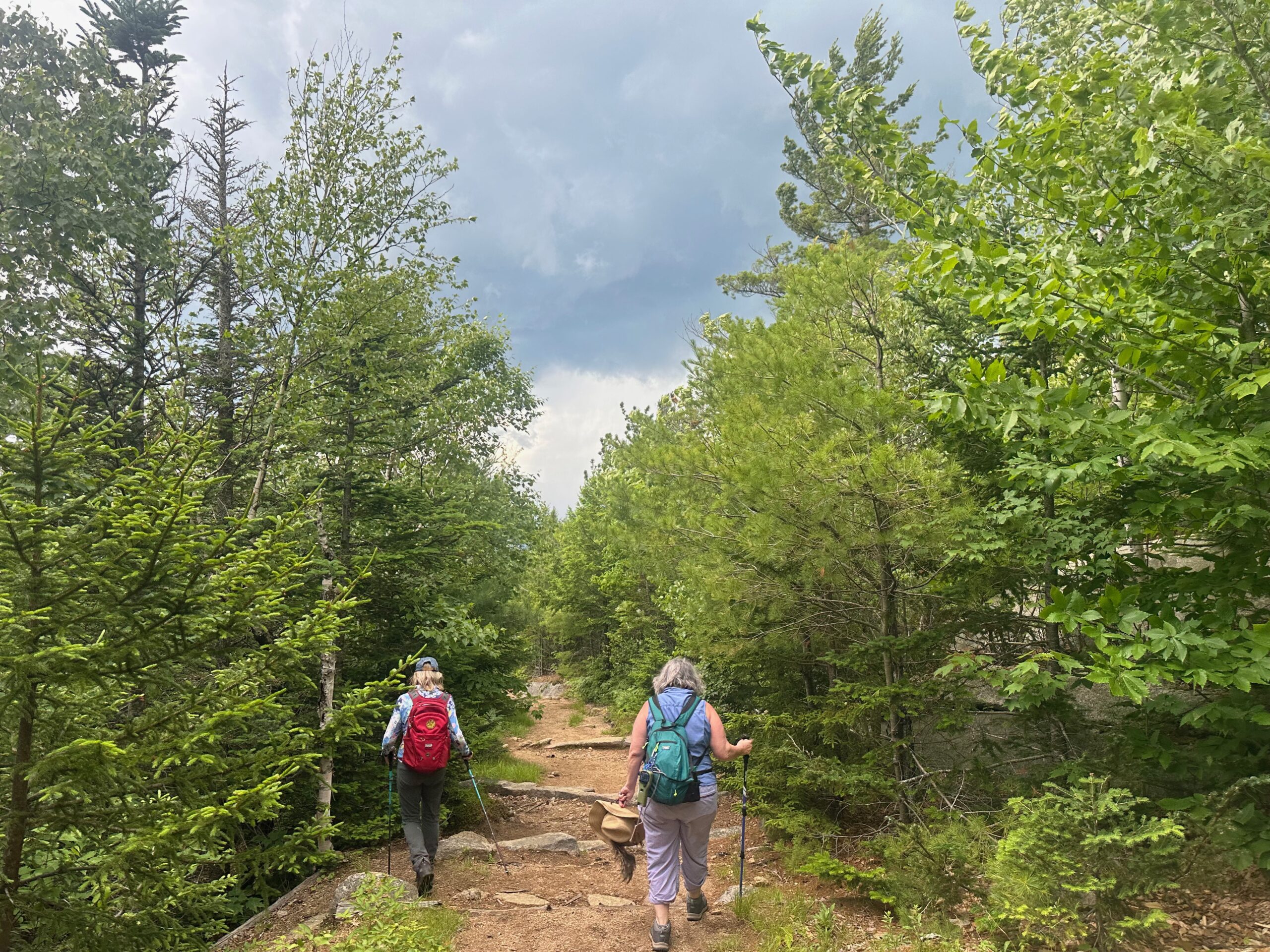 August 19 Daily Devotional