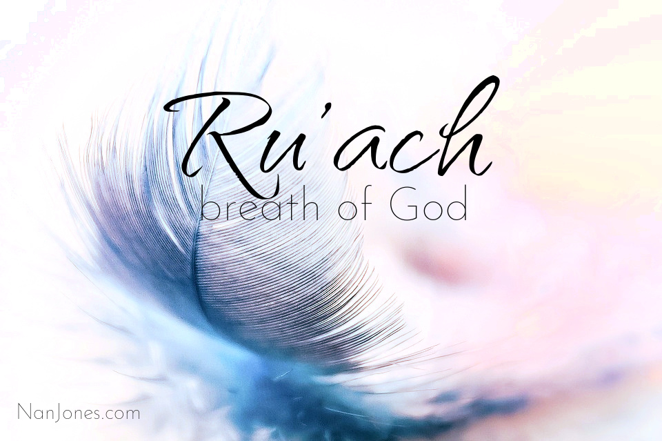 Sept 24 Daily Devotional