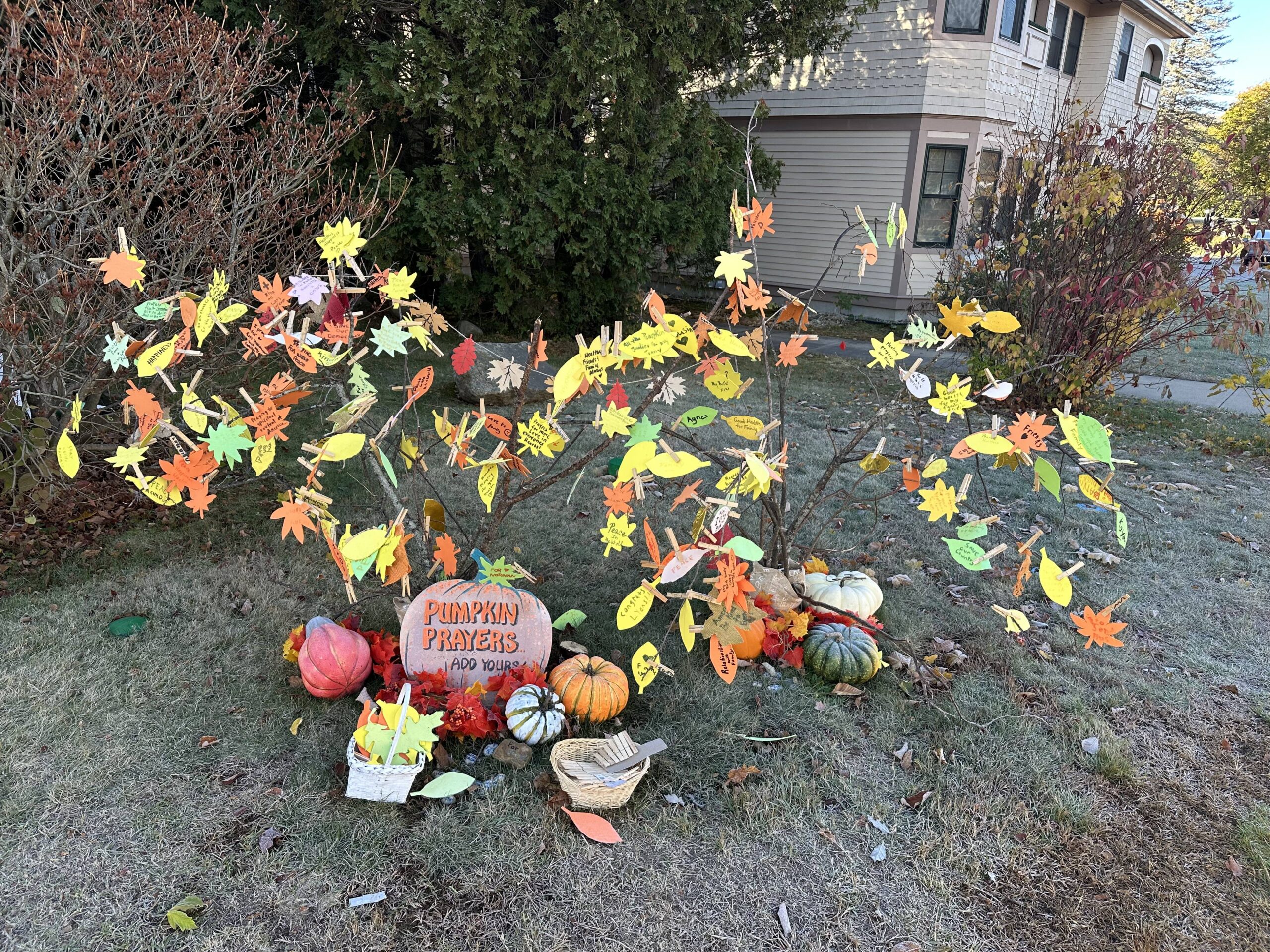 Events with JCC and around town: WEEKEND of October 31 – November 2