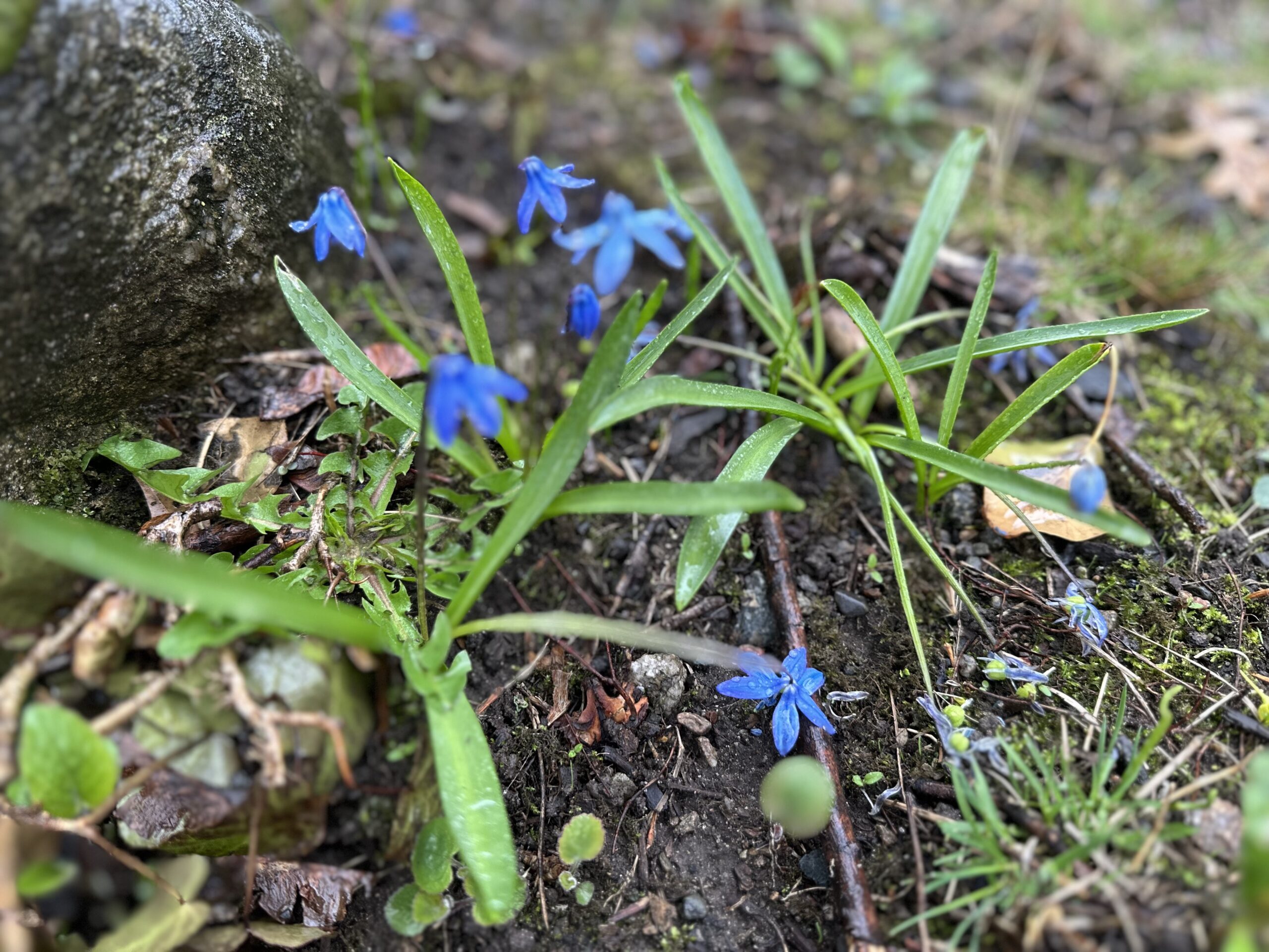 Weekend with JCC and around Town: Fri, April 24 – Sun, April 26